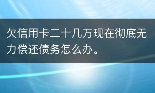 欠信用卡二十几万现在彻底无力偿还债务怎么办。