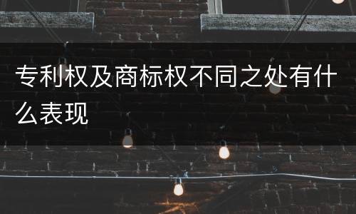 专利权及商标权不同之处有什么表现