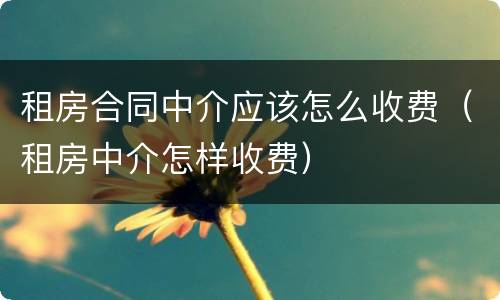 租房合同中介应该怎么收费（租房中介怎样收费）