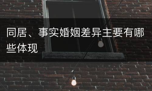 同居、事实婚姻差异主要有哪些体现