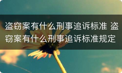 盗窃案有什么刑事追诉标准 盗窃案有什么刑事追诉标准规定