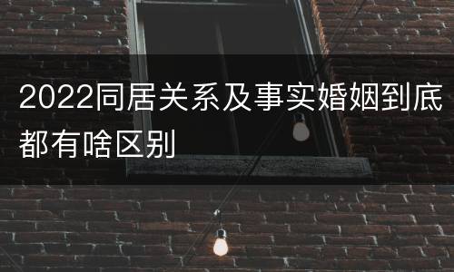 2022同居关系及事实婚姻到底都有啥区别