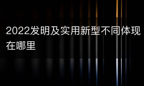 2022发明及实用新型不同体现在哪里