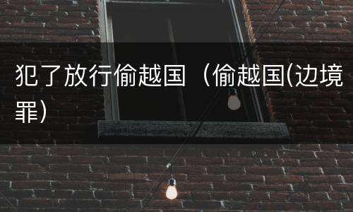 犯了放行偷越国（偷越国(边境罪）