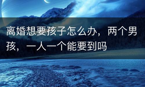 离婚想要孩子怎么办，两个男孩，一人一个能要到吗