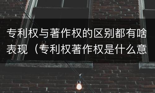 专利权与著作权的区别都有啥表现（专利权著作权是什么意思）