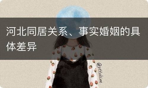 河北同居关系、事实婚姻的具体差异