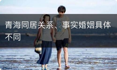 青海同居关系、事实婚姻具体不同