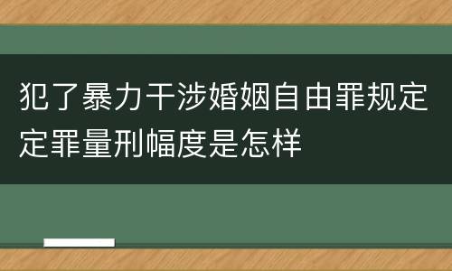 犯了暴力干涉婚姻自由罪规定定罪量刑幅度是怎样
