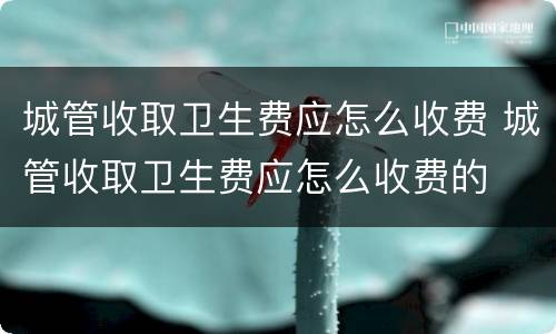 城管收取卫生费应怎么收费 城管收取卫生费应怎么收费的