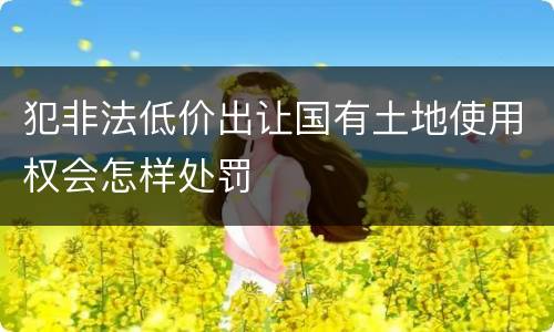 犯非法低价出让国有土地使用权会怎样处罚