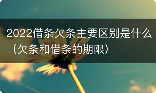2022借条欠条主要区别是什么（欠条和借条的期限）