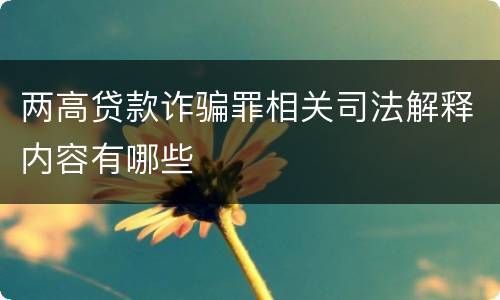 两高贷款诈骗罪相关司法解释内容有哪些