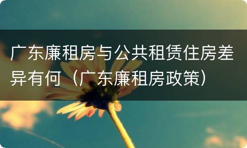 广东廉租房与公共租赁住房差异有何（广东廉租房政策）