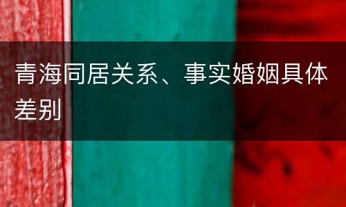 青海同居关系、事实婚姻具体差别