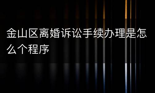 金山区离婚诉讼手续办理是怎么个程序