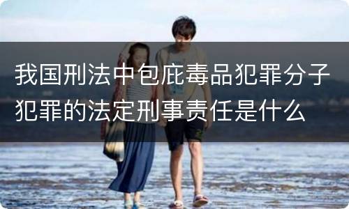 我国刑法中包庇毒品犯罪分子犯罪的法定刑事责任是什么