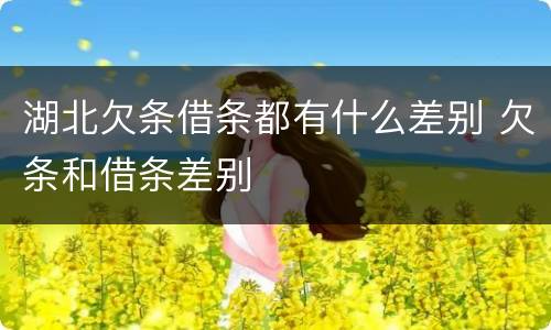 湖北欠条借条都有什么差别 欠条和借条差别