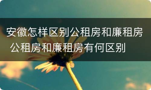 安徽怎样区别公租房和廉租房 公租房和廉租房有何区别
