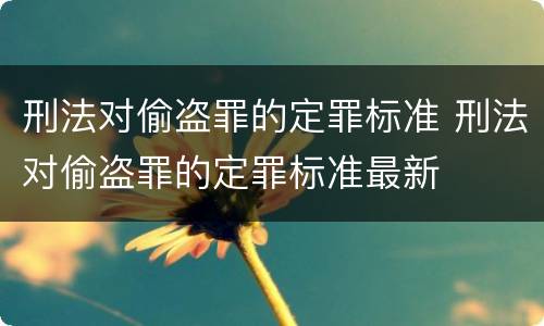 刑法对偷盗罪的定罪标准 刑法对偷盗罪的定罪标准最新