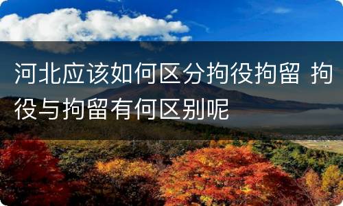 河北应该如何区分拘役拘留 拘役与拘留有何区别呢