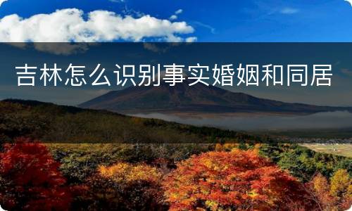 吉林怎么识别事实婚姻和同居