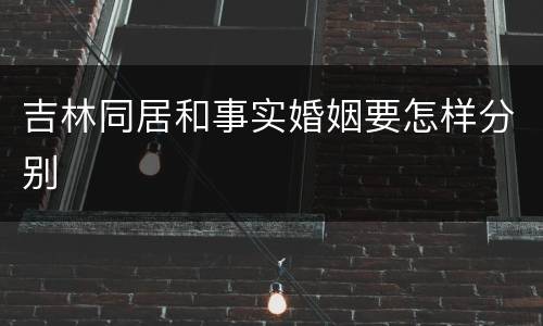 吉林同居和事实婚姻要怎样分别