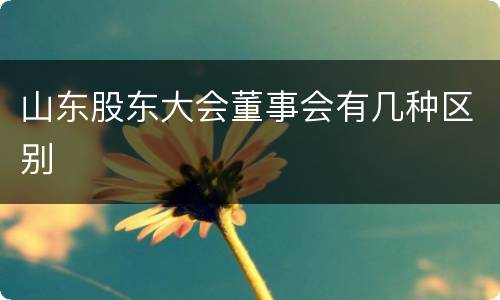 山东股东大会董事会有几种区别