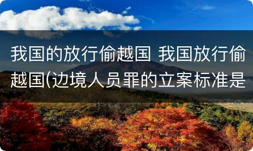 我国的放行偷越国 我国放行偷越国(边境人员罪的立案标准是怎么规定