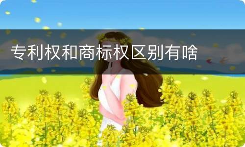 专利权和商标权区别有啥