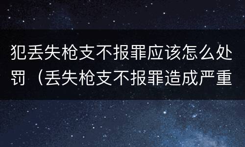 犯丢失枪支不报罪应该怎么处罚（丢失枪支不报罪造成严重后果）