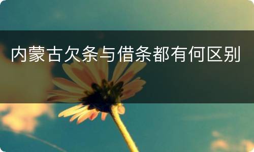 内蒙古欠条与借条都有何区别