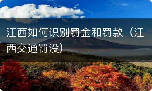 江西如何识别罚金和罚款（江西交通罚没）