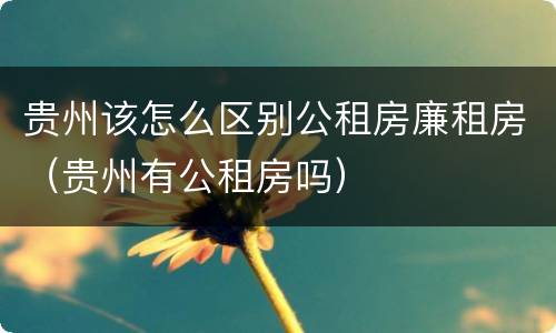 贵州该怎么区别公租房廉租房（贵州有公租房吗）