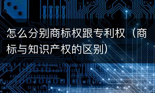 怎么分别商标权跟专利权（商标与知识产权的区别）