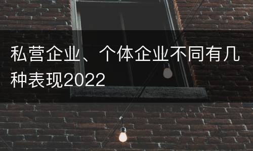 私营企业、个体企业不同有几种表现2022