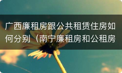 广西廉租房跟公共租赁住房如何分别（南宁廉租房和公租房的区别）