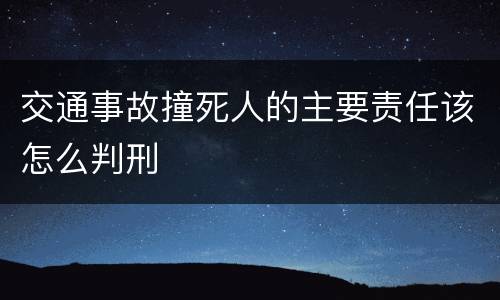 交通事故撞死人的主要责任该怎么判刑