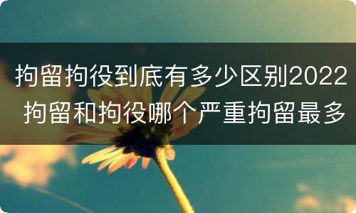 拘留拘役到底有多少区别2022 拘留和拘役哪个严重拘留最多多少天