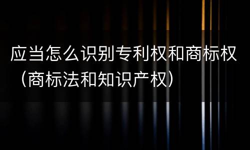 应当怎么识别专利权和商标权（商标法和知识产权）
