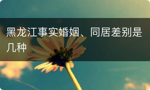 黑龙江事实婚姻、同居差别是几种