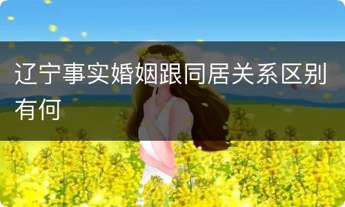 辽宁事实婚姻跟同居关系区别有何
