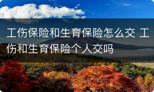 工伤保险和生育保险怎么交 工伤和生育保险个人交吗
