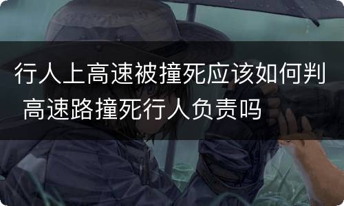 行人上高速被撞死应该如何判 高速路撞死行人负责吗