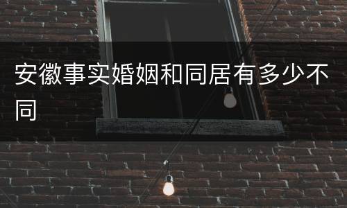 安徽事实婚姻和同居有多少不同