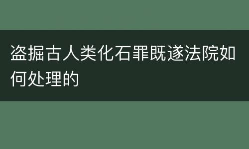 盗掘古人类化石罪既遂法院如何处理的