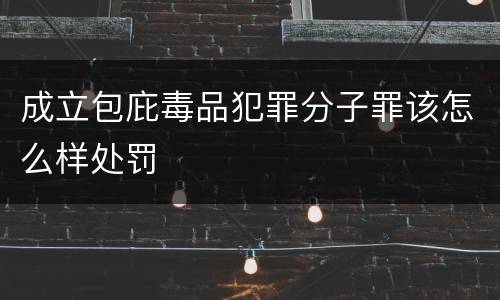 成立包庇毒品犯罪分子罪该怎么样处罚