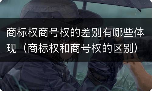 商标权商号权的差别有哪些体现（商标权和商号权的区别）