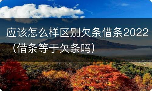 应该怎么样区别欠条借条2022（借条等于欠条吗）
