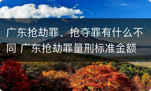 广东抢劫罪、抢夺罪有什么不同 广东抢劫罪量刑标准金额
